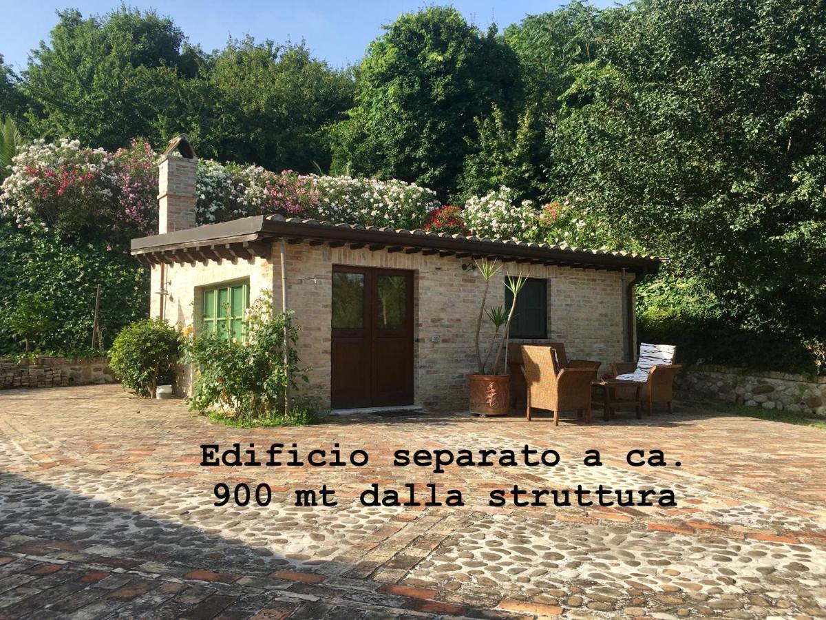 Monolocale - Edificio Separato