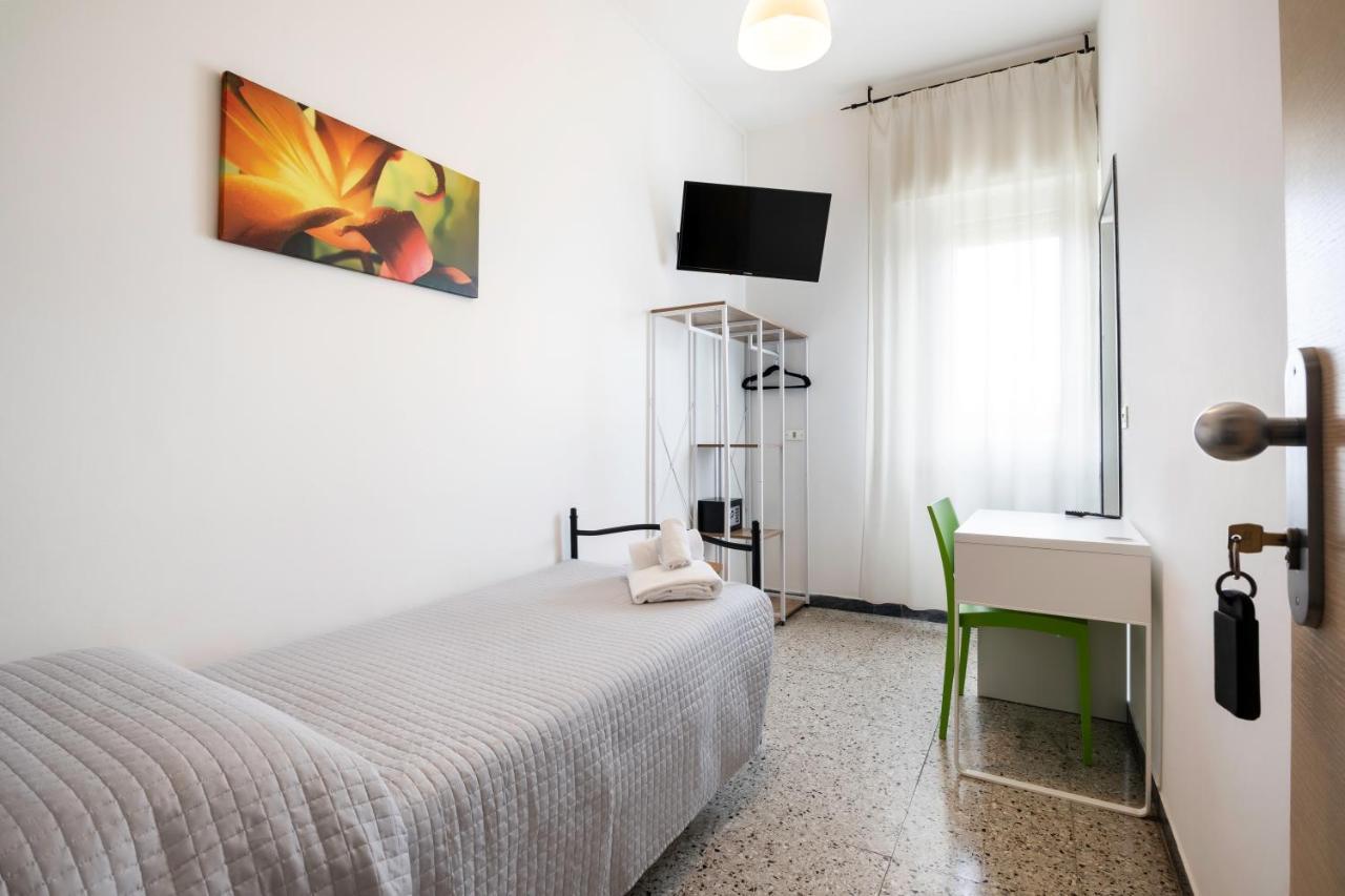 Single Room,1317225691:JPEG