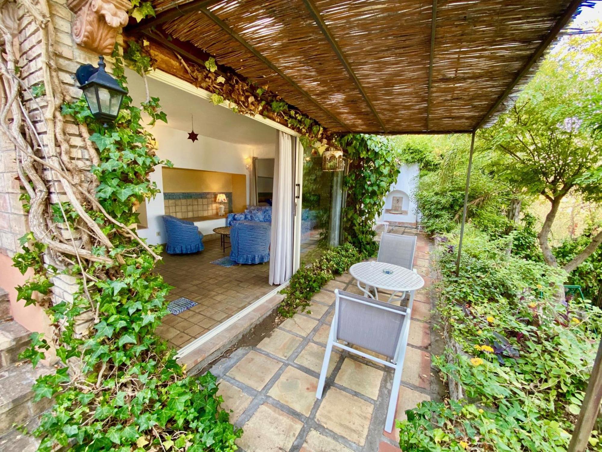 Suite Terrace