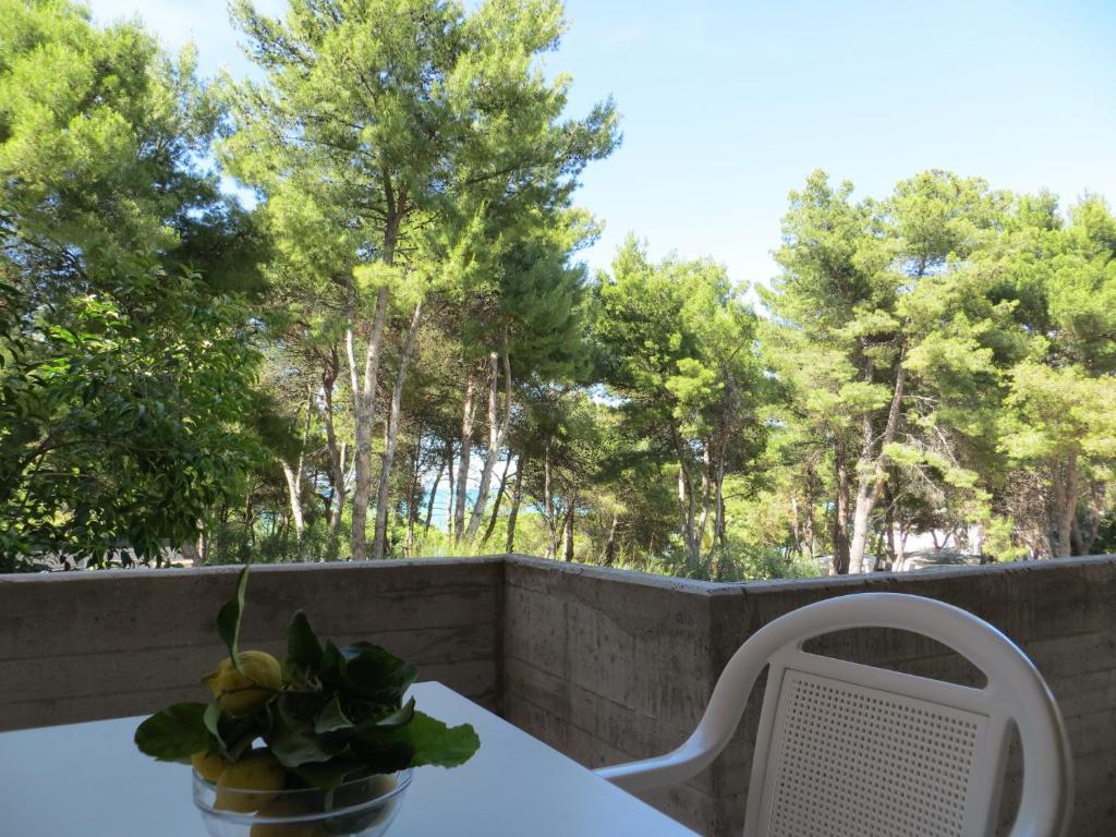 Appartamento con 1 Camera da Letto