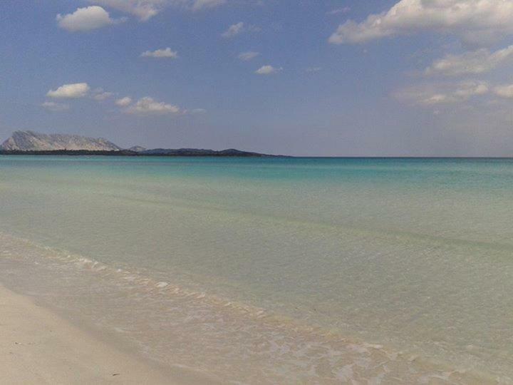 Camera Singola