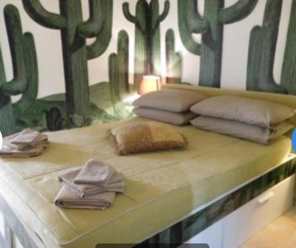 Standard Double Room,950680450:JPEG