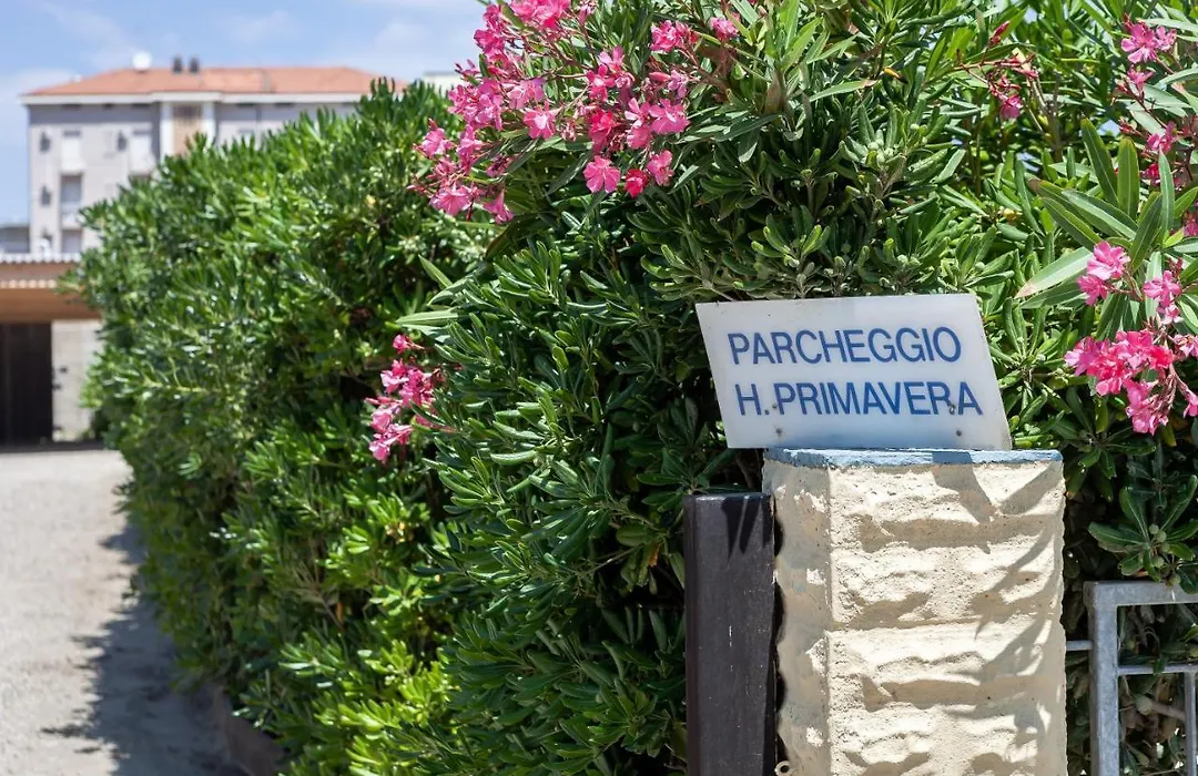 Hotel Primavera sul mare-1