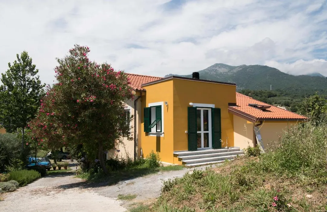 B&B La casa dei gelsi-1