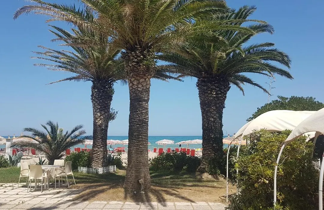 Hotel Silvi-1