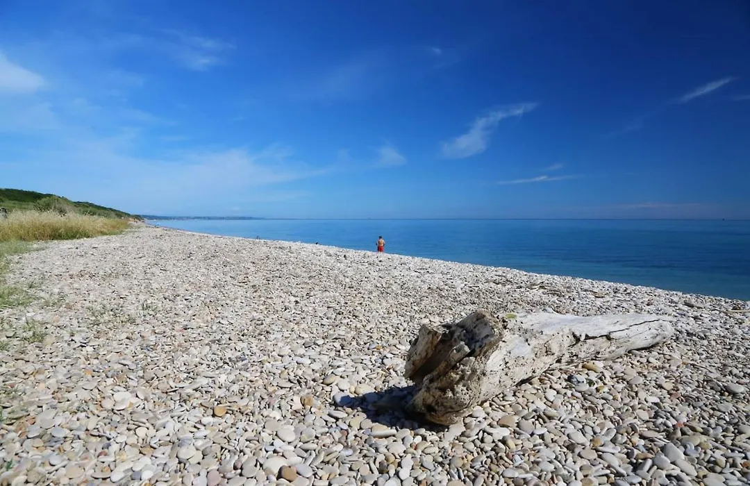 B&B Residenza Aragonese-1