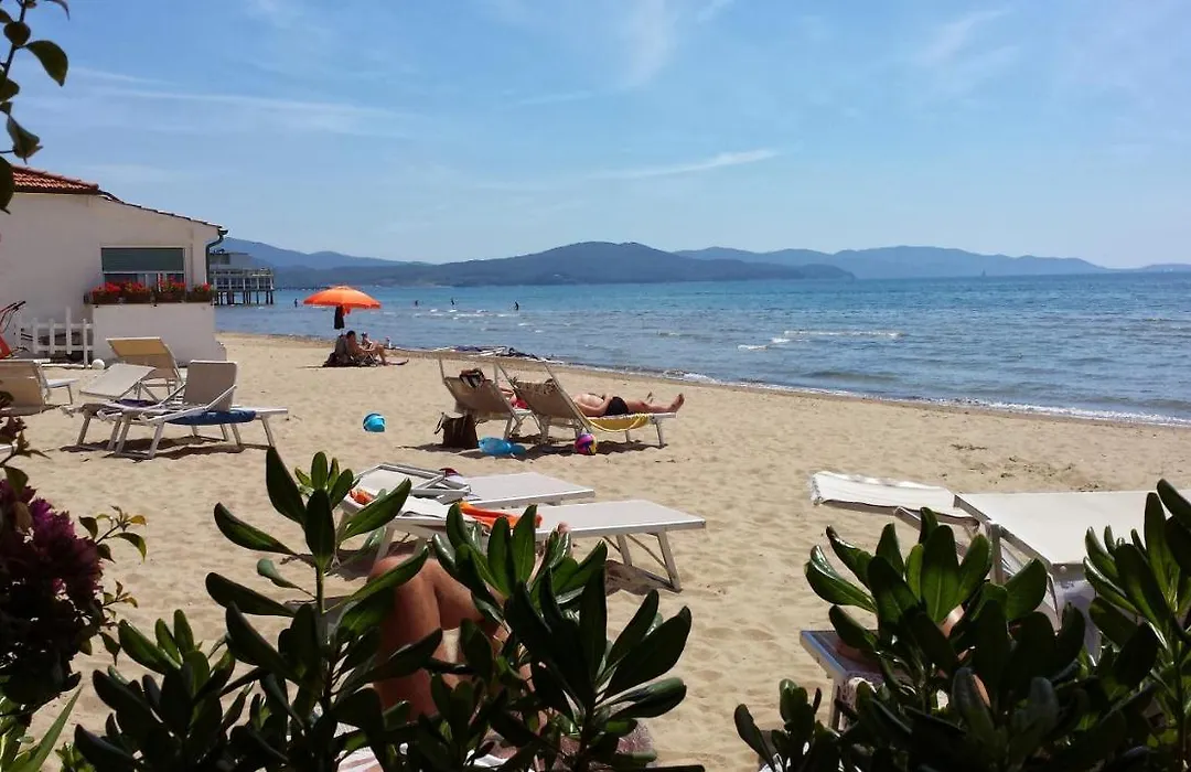Hotel Ausonia-1