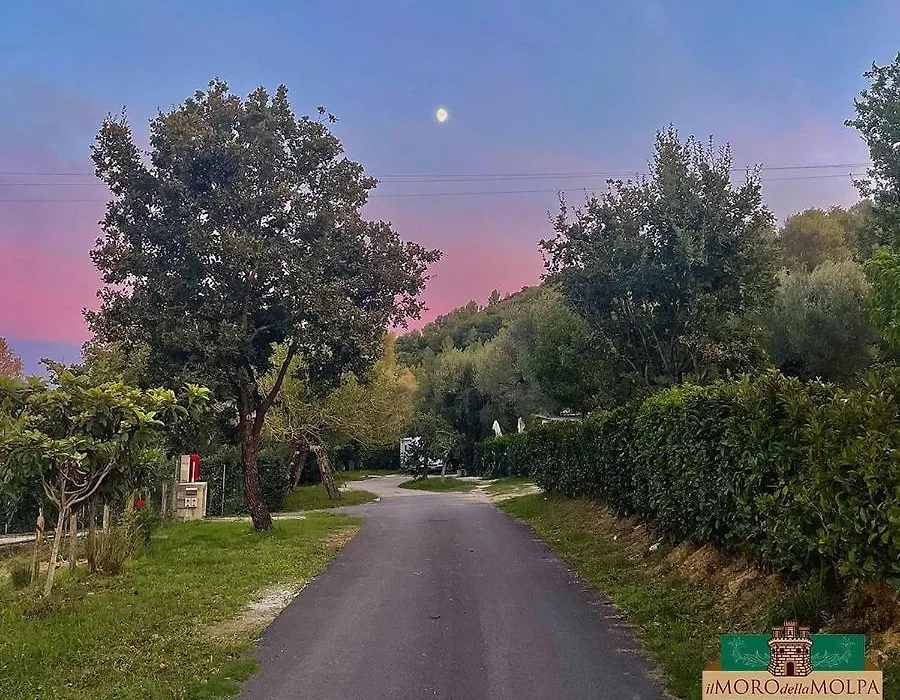 Il Moro della Molpa-1