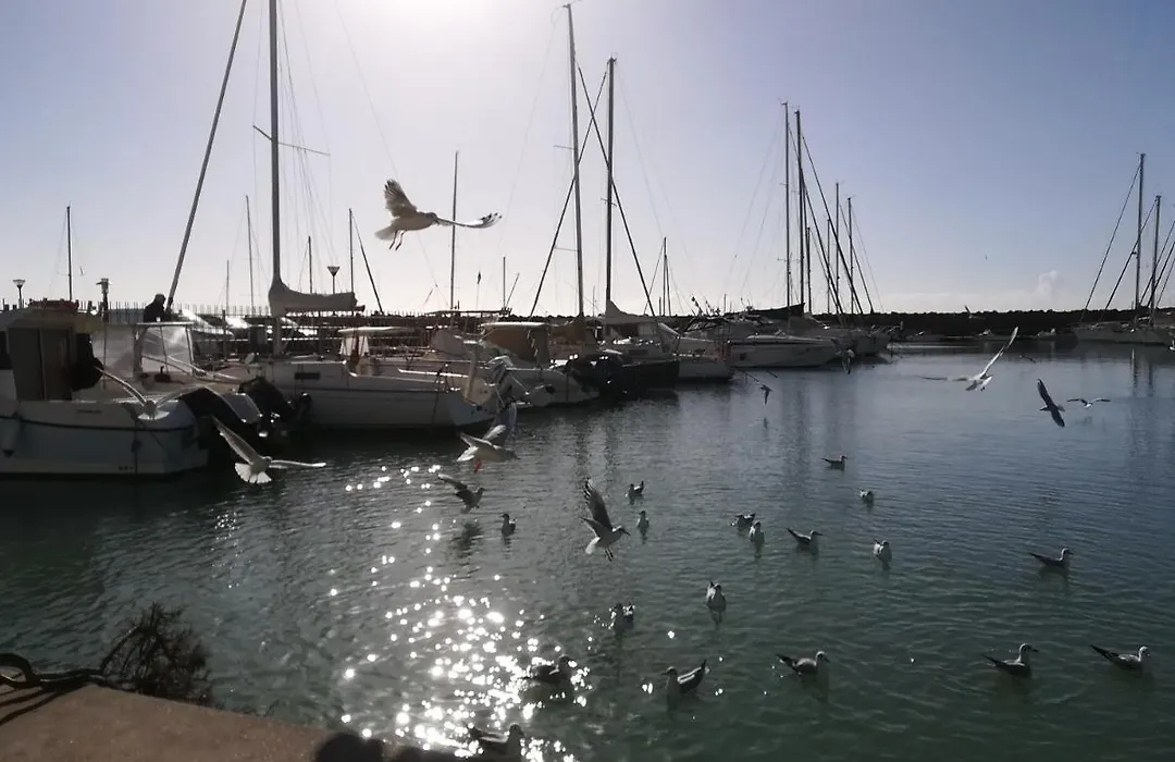 Blue Marine di Ostia-1