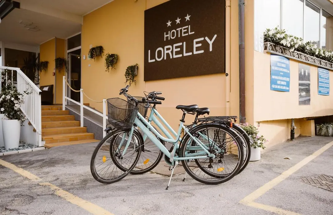 Hotel Loreley-1