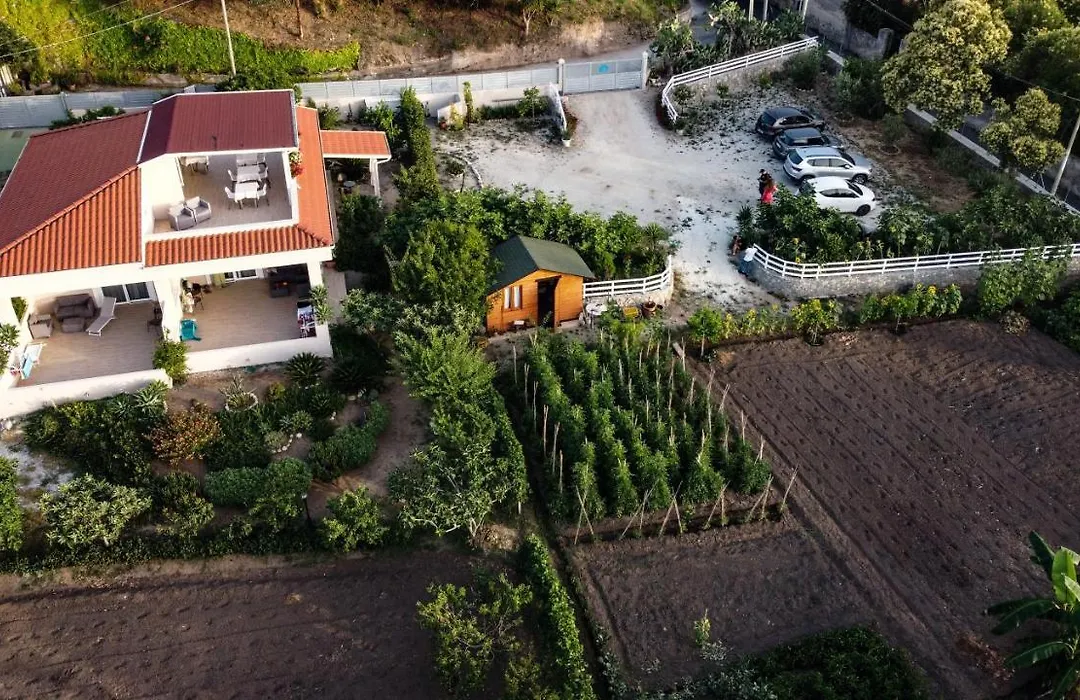 Michelino House-1