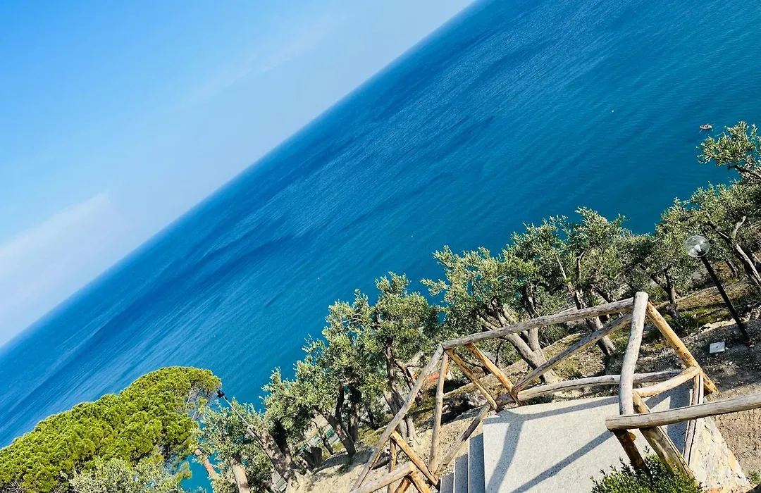 Eufonia del Mare-1