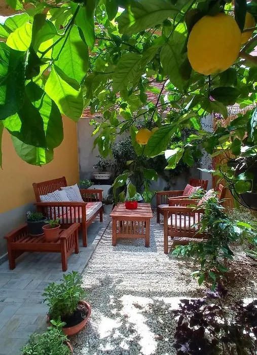 Green House-1