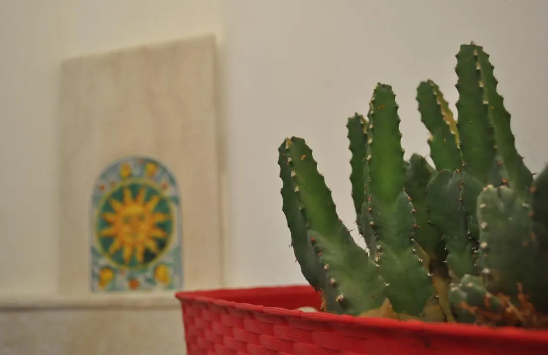 B&B Jasmin-1