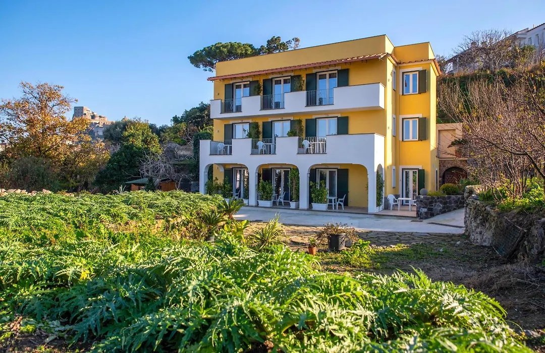 B&B La Vigna - Ischia Ponte-1