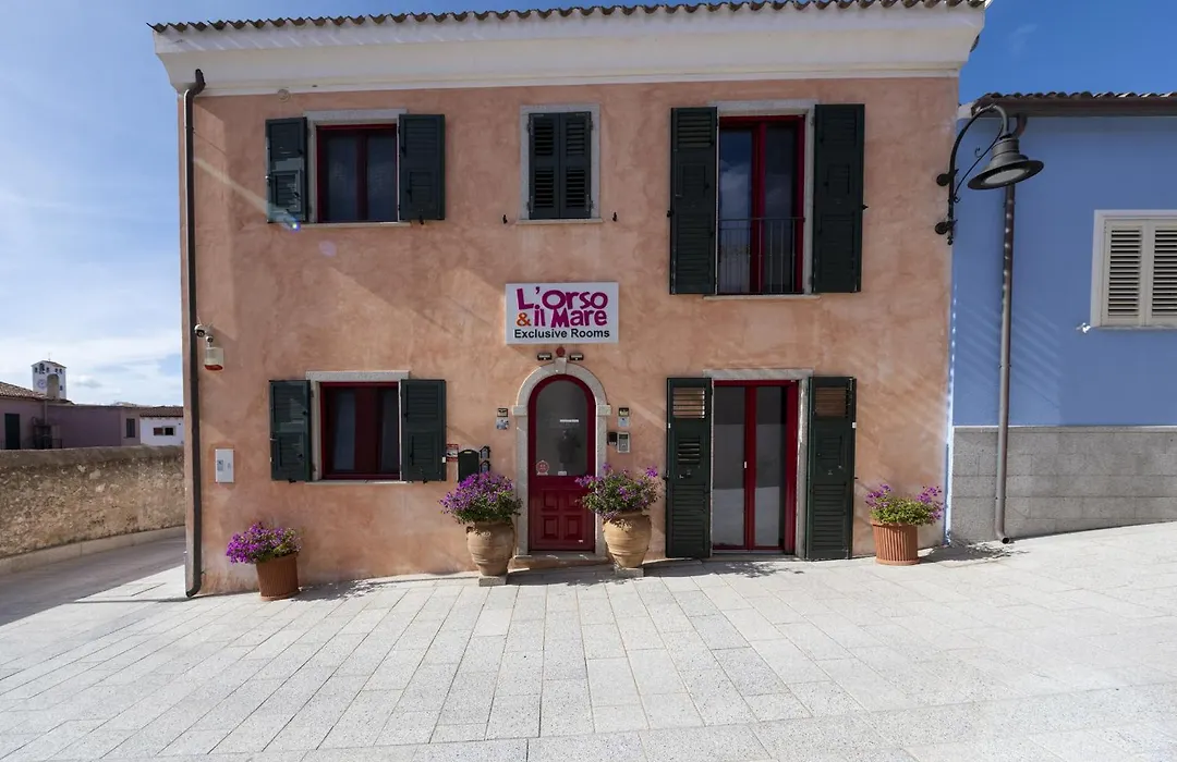 L'Orso e il Mare (Adults Only)-1