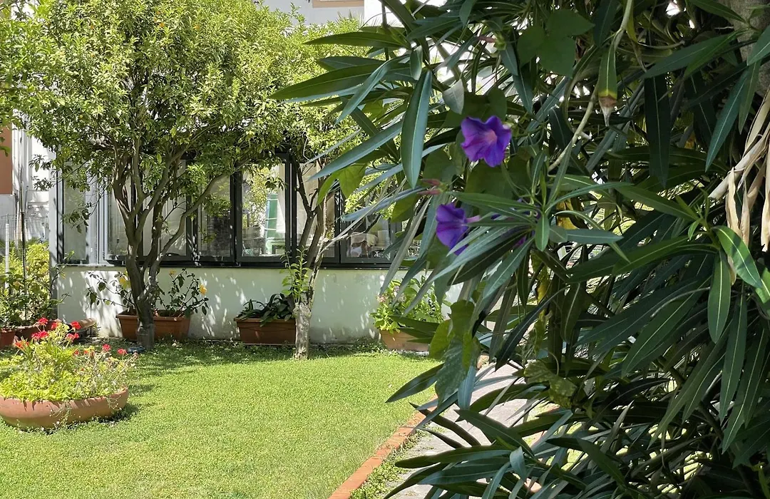 Hotel Rosalia-1