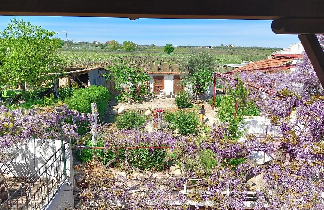 B&B Il Secolo Breve-1
