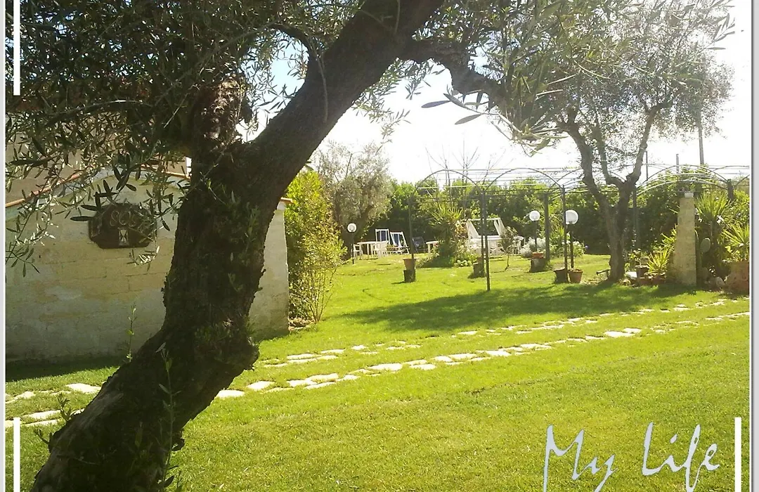 Mylife B&B Country House-1