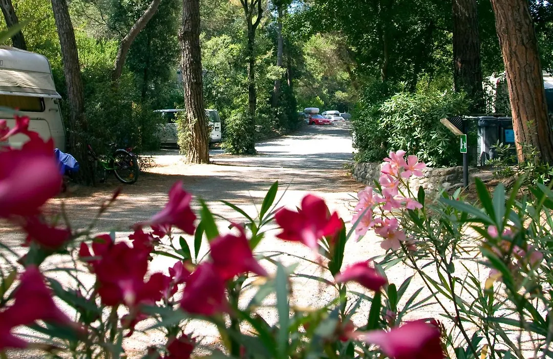 Camping Casa Di Caccia-1