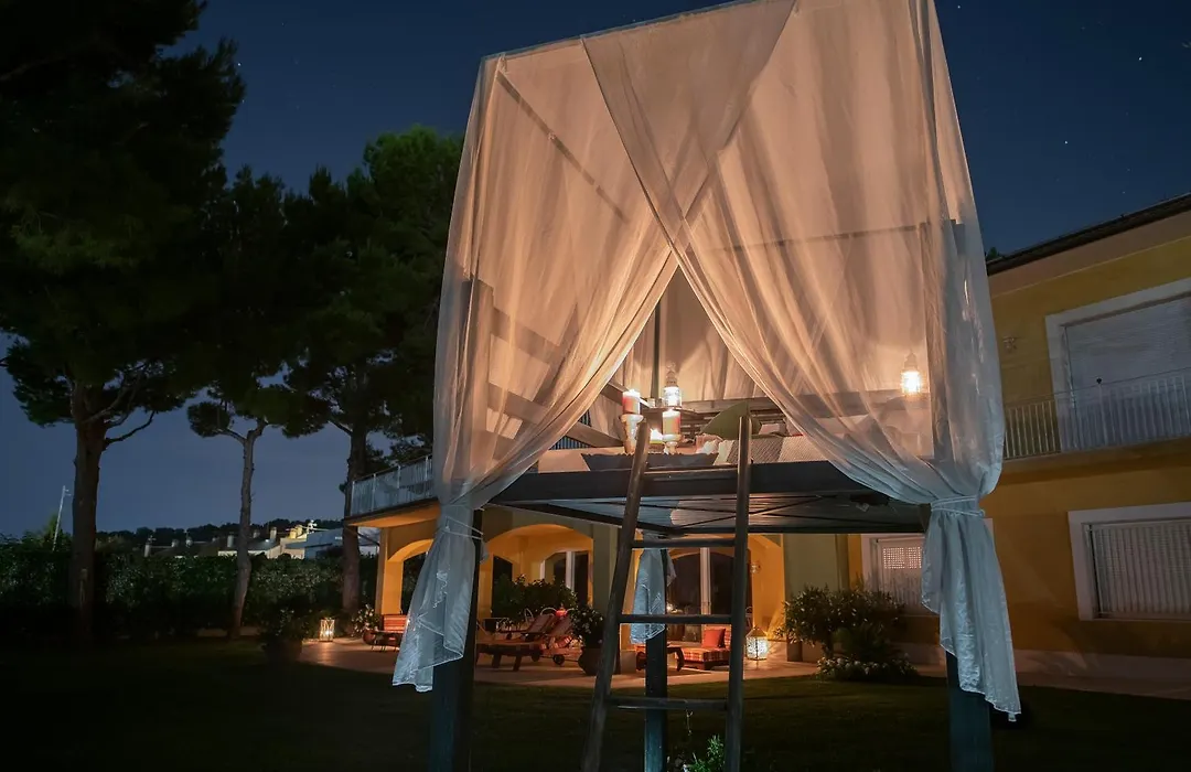 Tra gli Alberi e il Mare-1