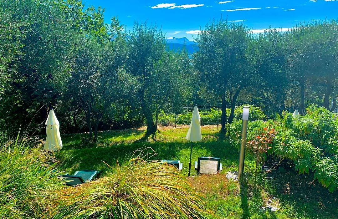 Tenuta di Venere-1