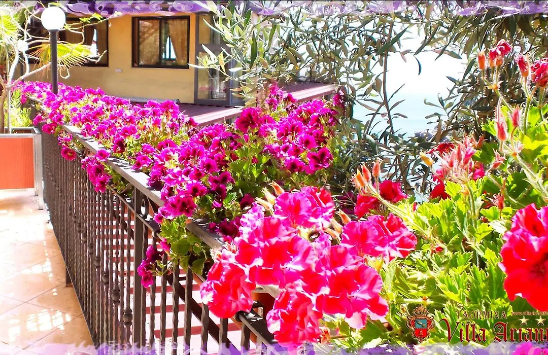 Villa Arianna B&B-1