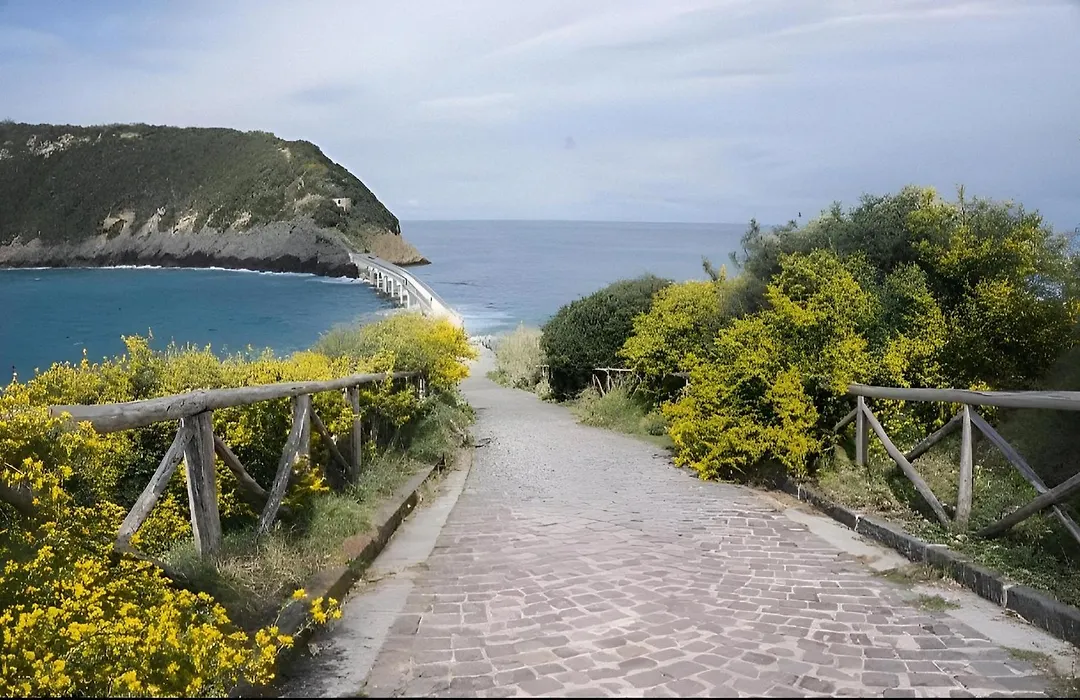 Sonnino B&B-1