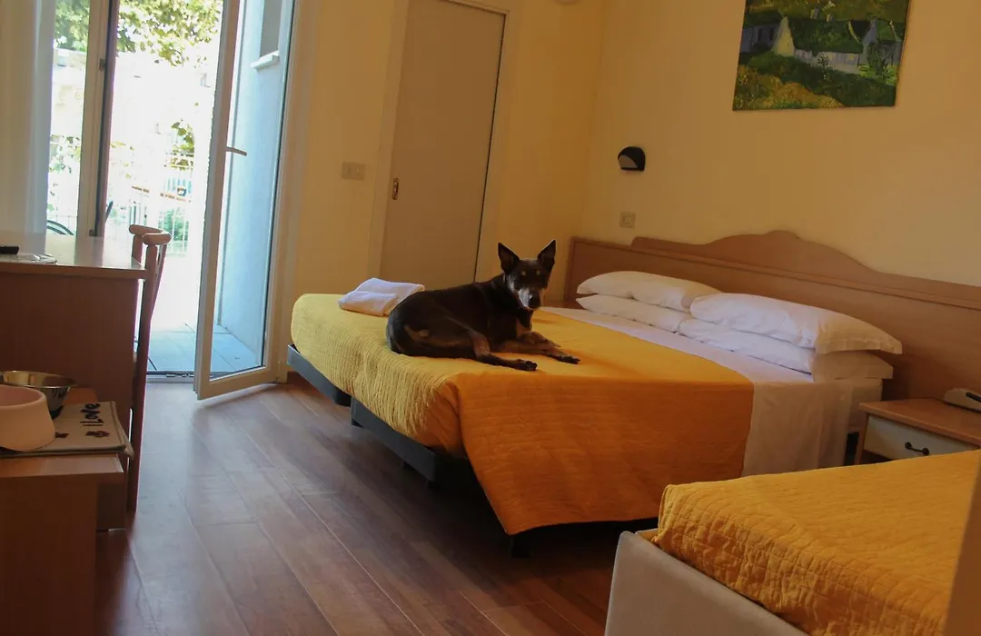 Pet Hotel Virginia - Hotel per cani-1