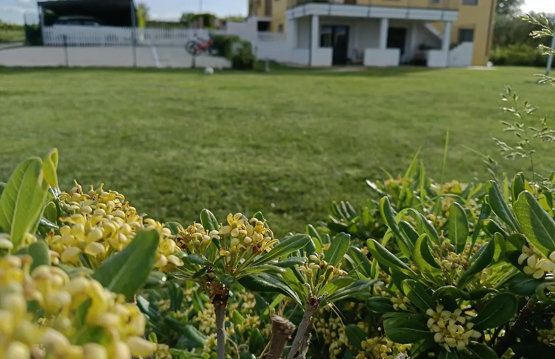 Natura e Mente Camere e Relax-1