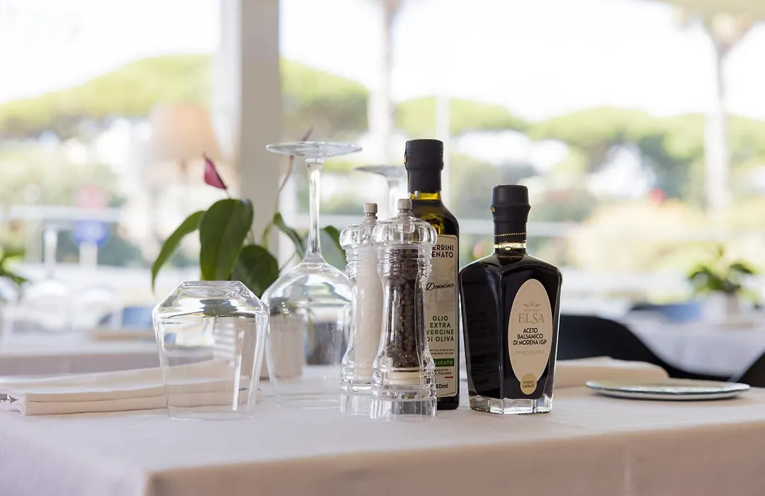 Mercure Viareggio-1