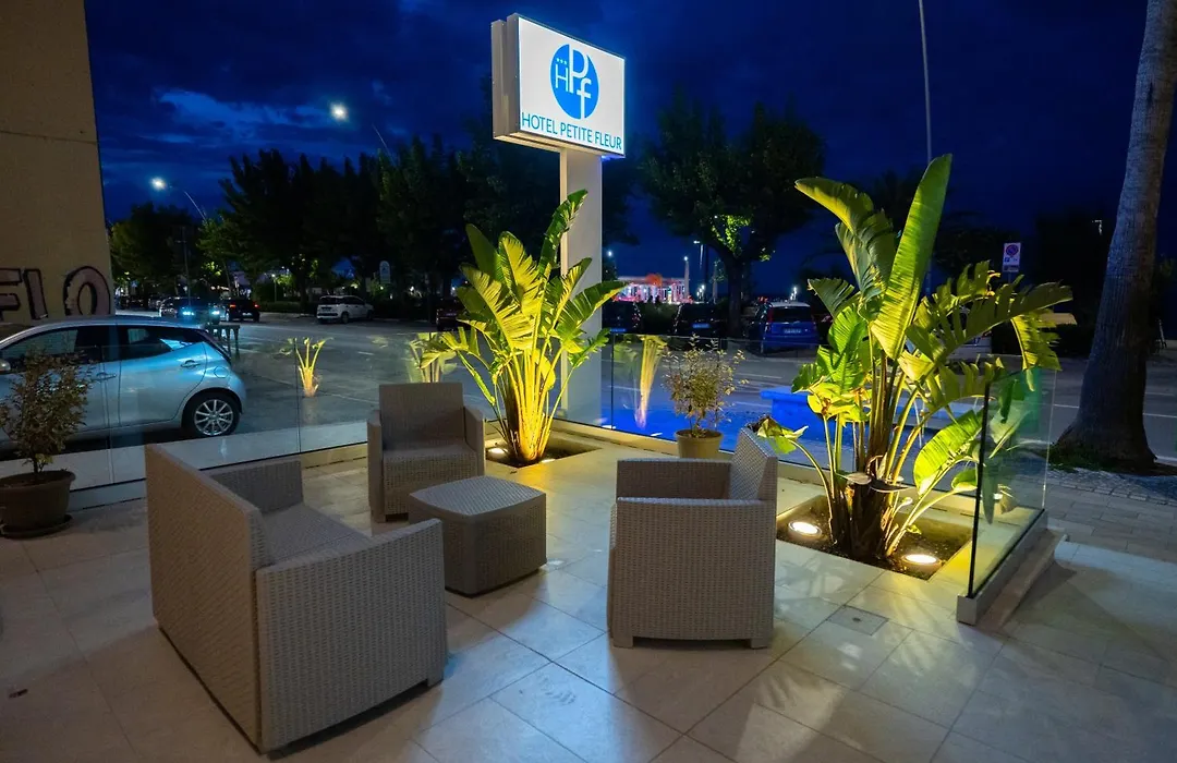 Hotel Petite Fleur-1