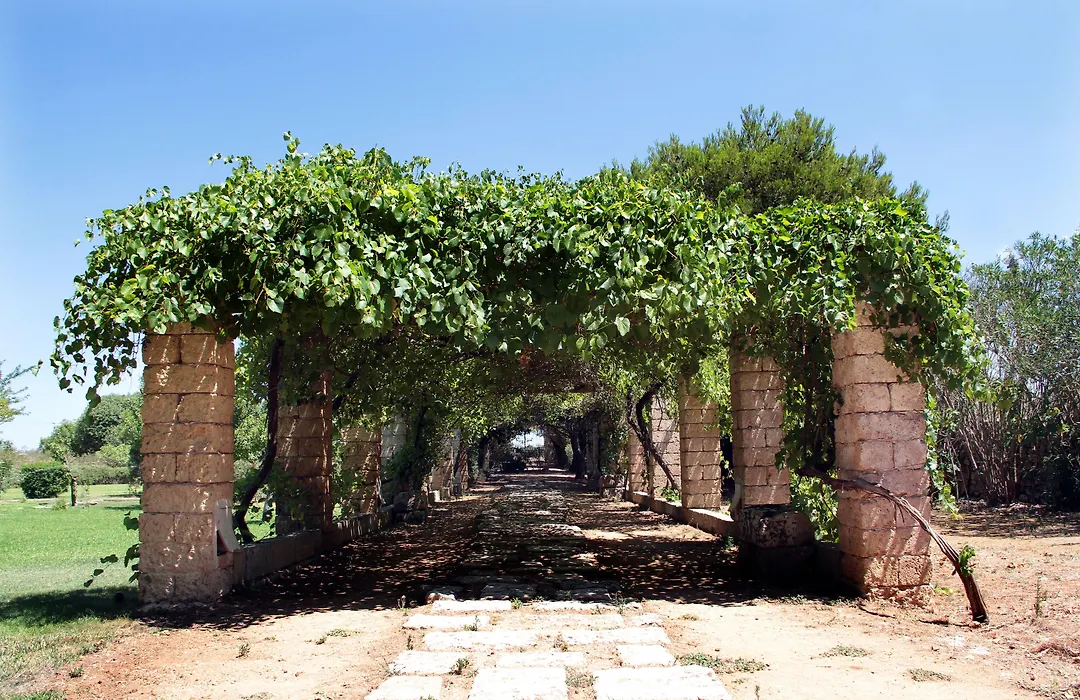 Masseria Cristo-1