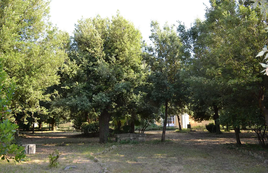 Villa Graziani-1