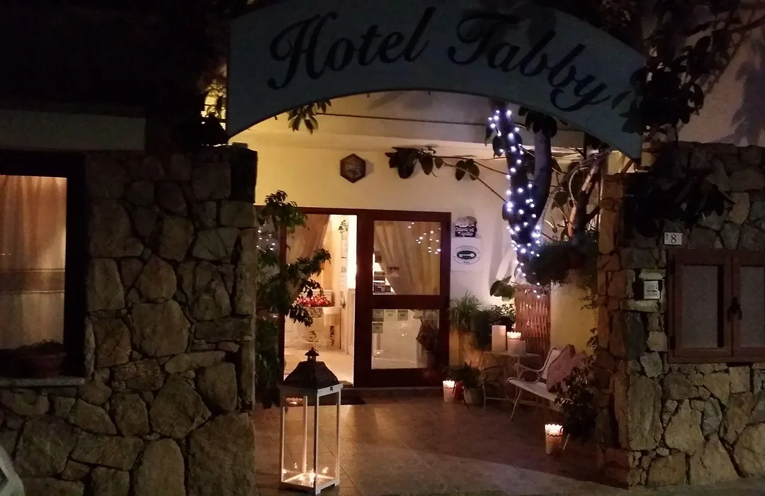 Hotel Tabby-1