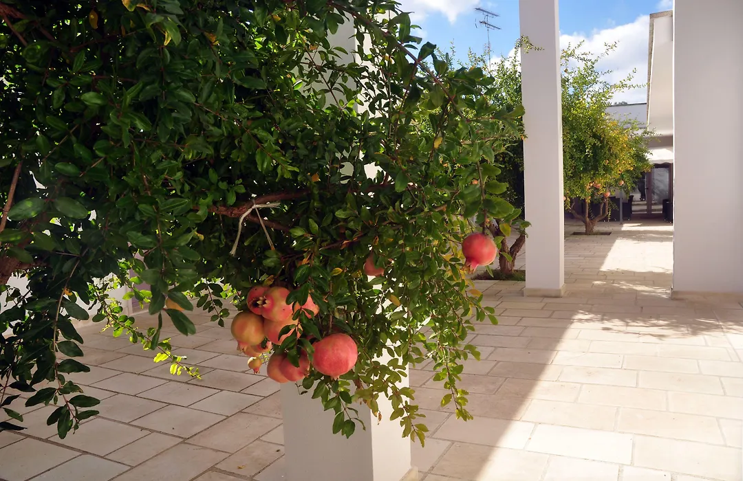 Corte dei Melograni Hotel Resort-1