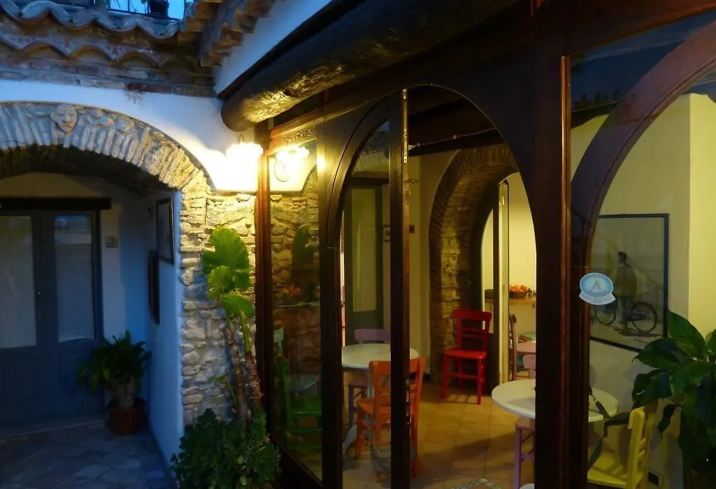 B&B Amphisya-1