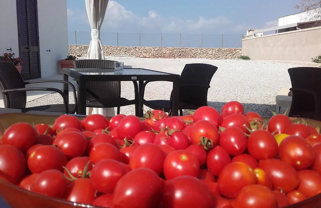 Masseria Centro Colonico B&B-1