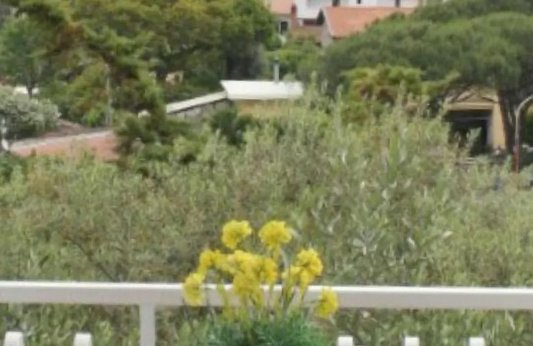 Casa Athena-1