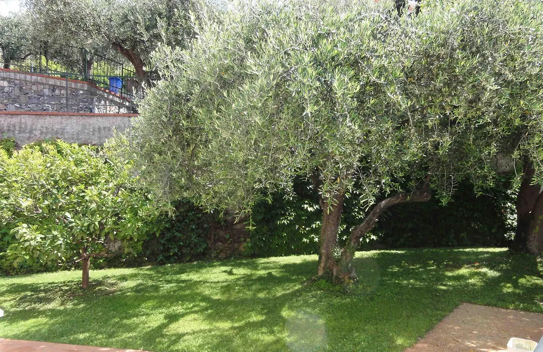 Residence Dei Fiori-1
