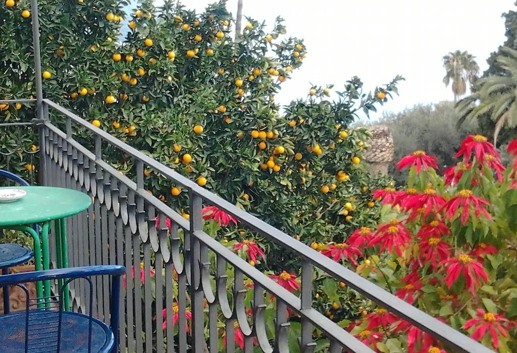 The Dolphins Guest House-1