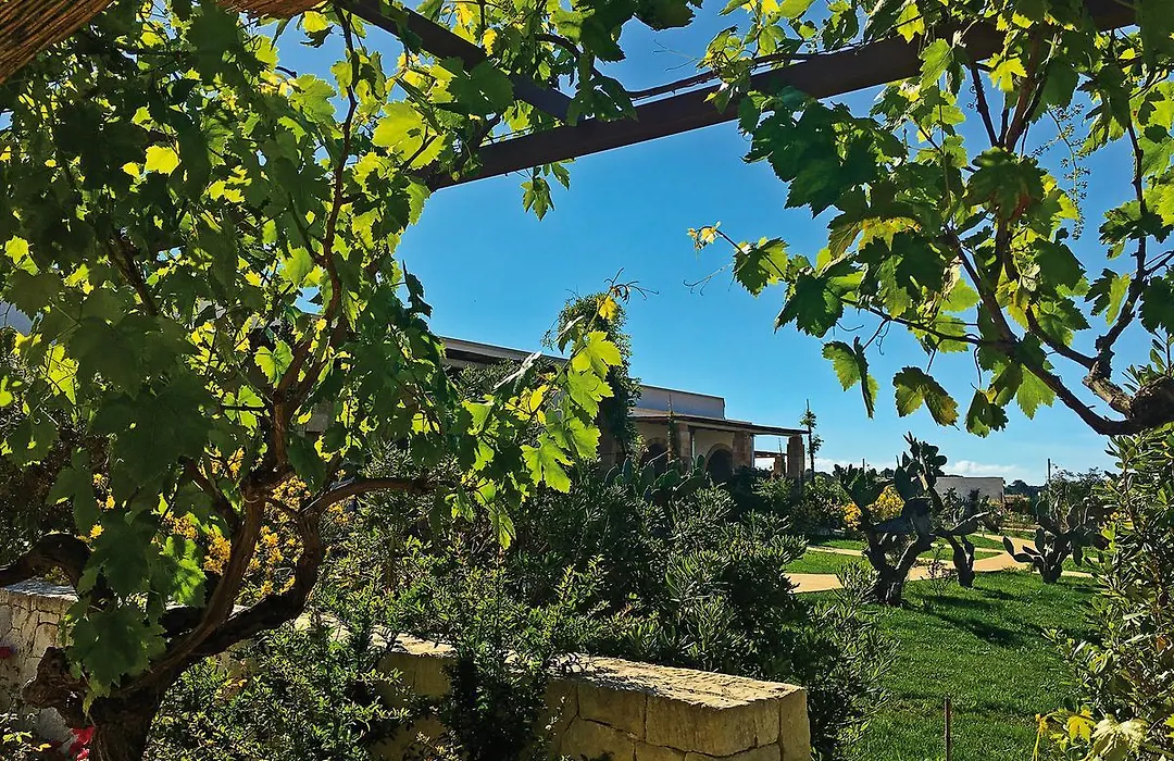 Agriturismo Vigna Corallo-1