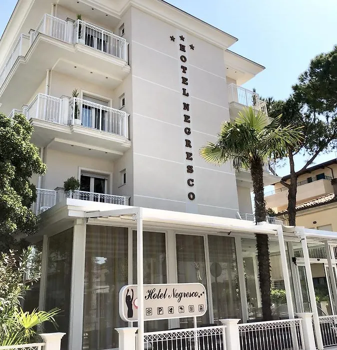 Hotel Negresco-1