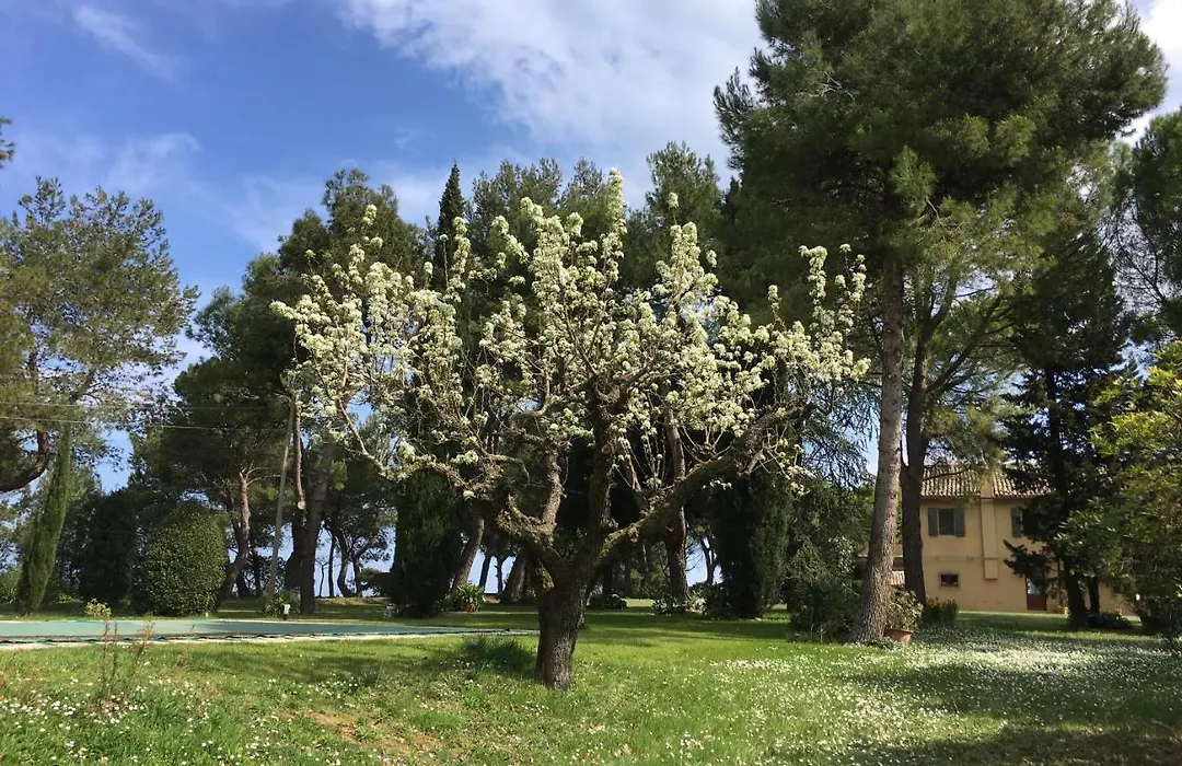 Il Colle delle Terrazze-1