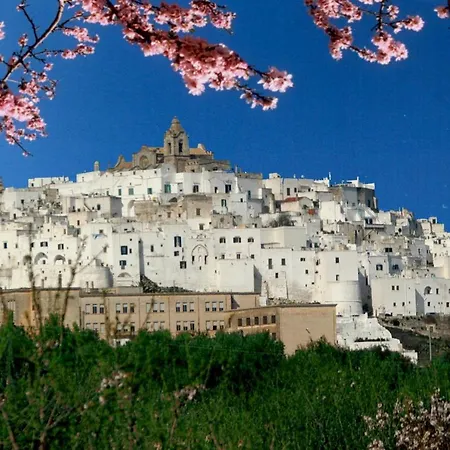 Centro di Spiritualità Madonna della Nova-2