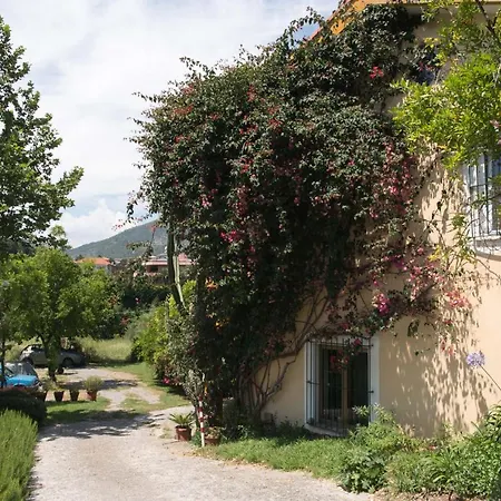 B&B La casa dei gelsi-3