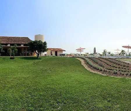 Agrimargherita-3