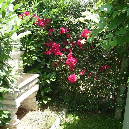 B&B Villa Fantasia-2