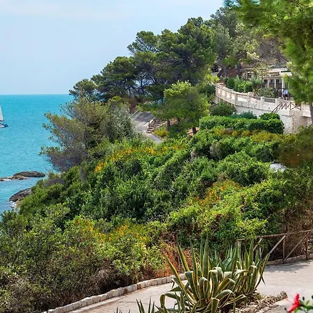 Gattarella Family Resort Puglia - Self Catering Accommodations In The Pinewood-3