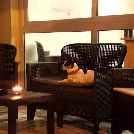 Hotel Alfa - SPIAGGIA INCLUSA con pacchetti personalizzati-3